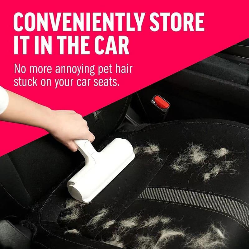 remove pet hair from the car seats