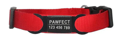 personalized pet id tag