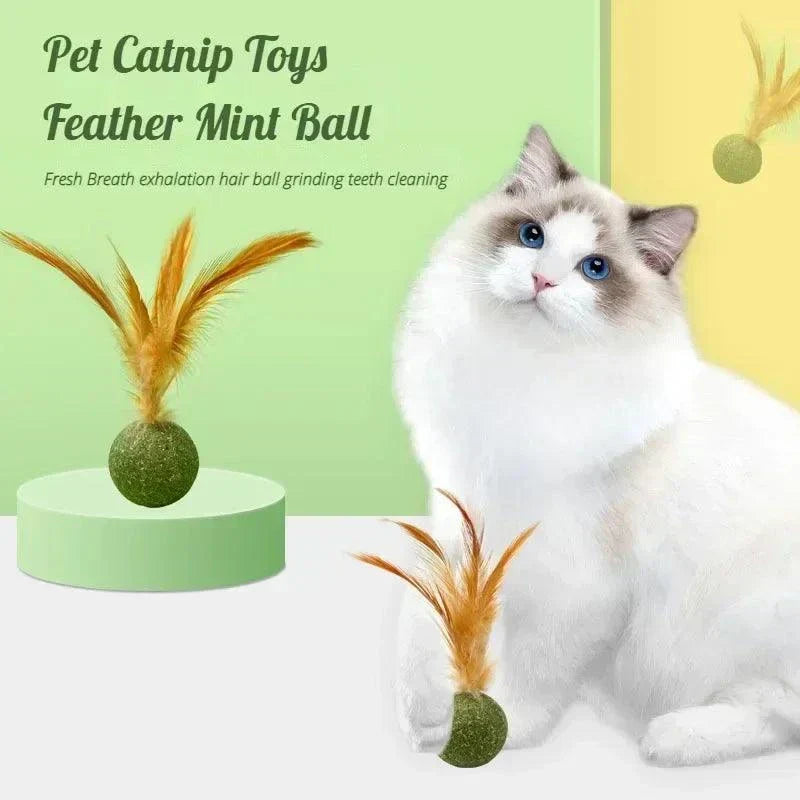 Dried Catnip Toys - Ball, Spinner, Mouse, Lollipops