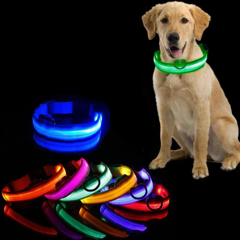 Collier Pour Chien Lumineux, Collier Anti-Perte Avec Lumière LED