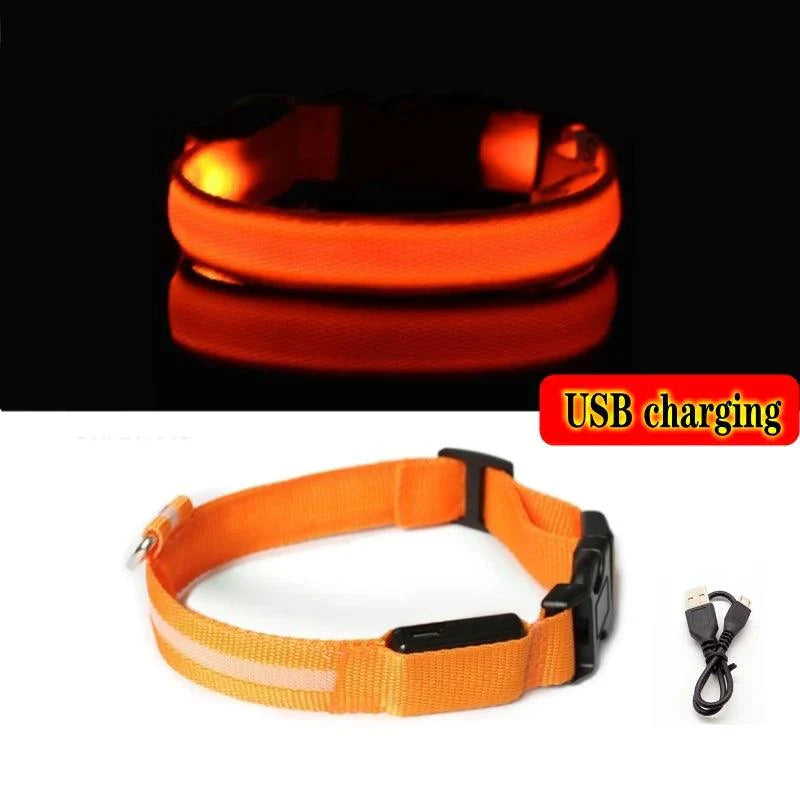 Collier Pour Chien Lumineux, Collier Anti-Perte Avec Lumière LED