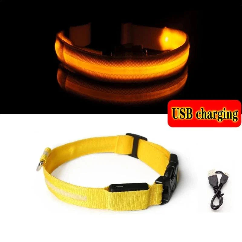 Collier Pour Chien Lumineux, Collier Anti-Perte Avec Lumière LED