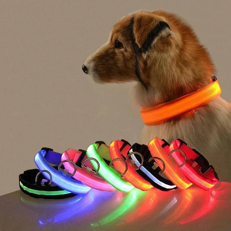 Collier Pour Chien Lumineux, Collier Anti-Perte Avec Lumière LED