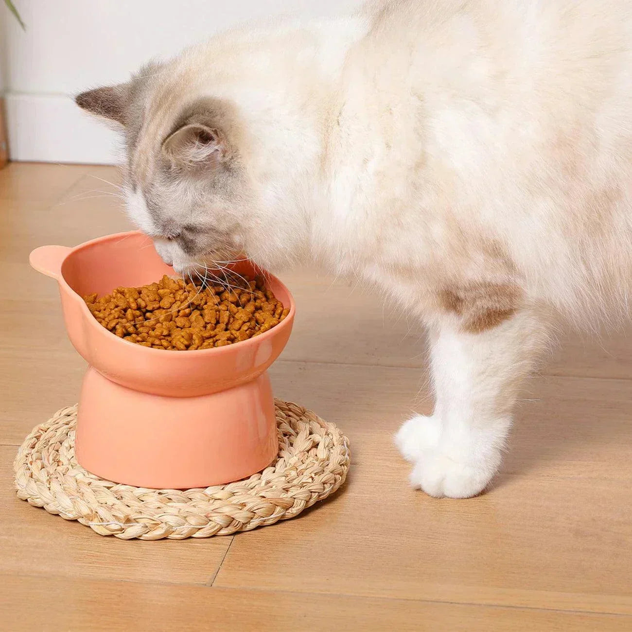 Bear Head High Bowl, bowl with raised and inclined bottom to protect the animal's neck