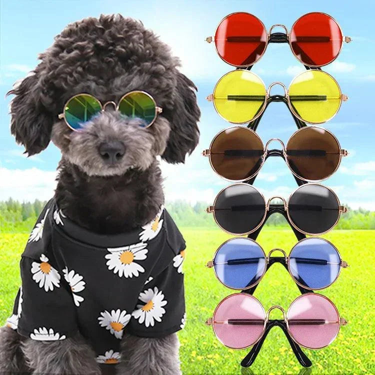 Lunettes de Soleil Rétro Vintage Pour Petit Chien et Chat