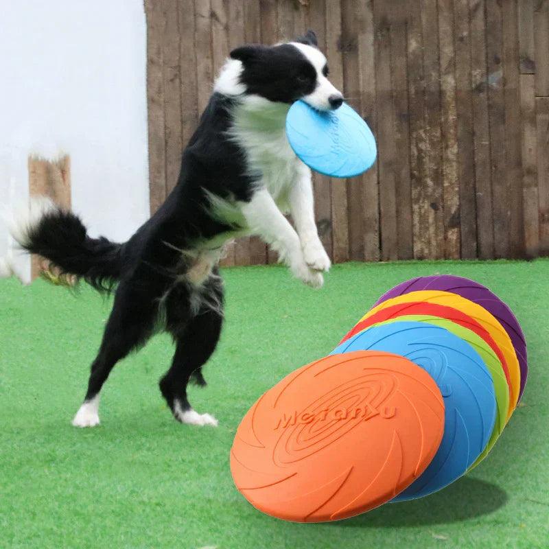 Frisbee pour chien indestructible en caoutchouc non toxique