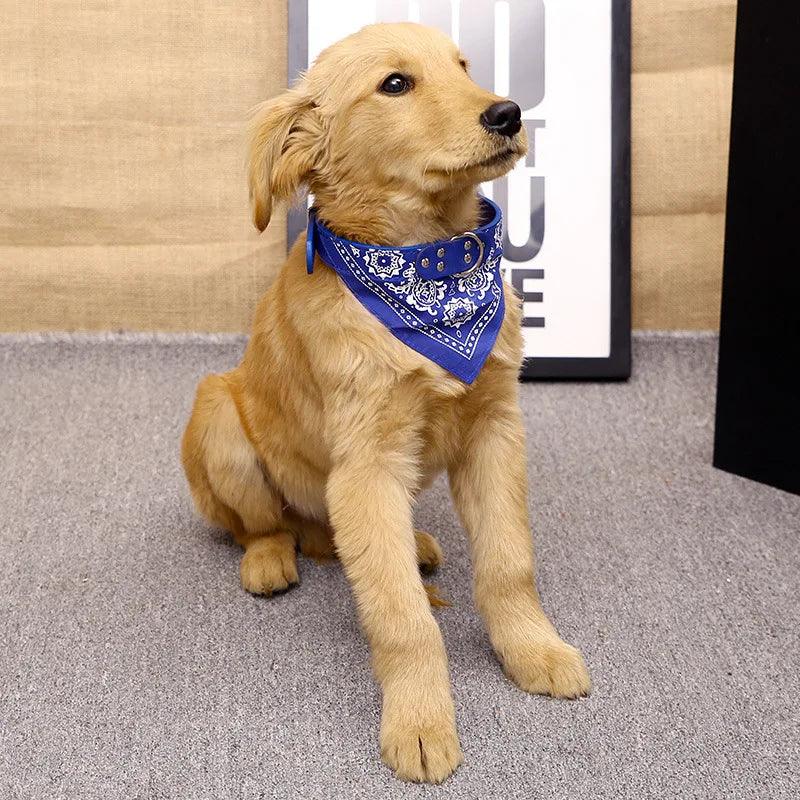 Bandana pour chat et chien, collier en triangle imprimé ethnique