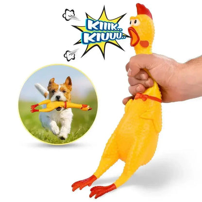 Poulet Crieur Pour Chien