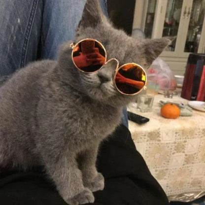 Lunettes de Soleil Rétro Vintage Pour Petit Chien et Chat