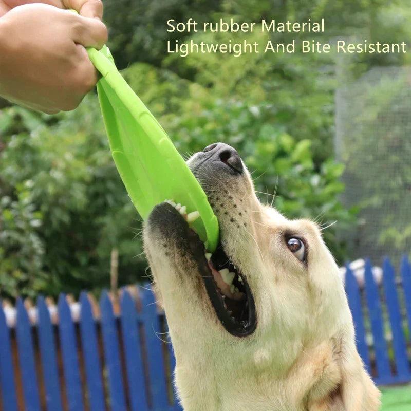 Frisbee pour chien indestructible en caoutchouc non toxique