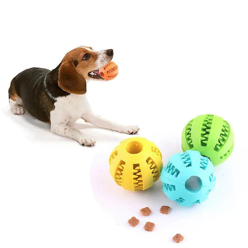 Balle en Caoutchouc pour Chien, Jouet Interactif à Friandises