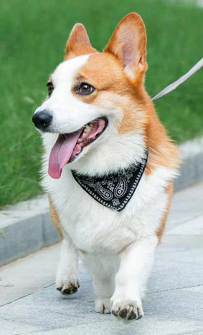 Bandana pour chat et chien, collier en triangle imprimé ethnique