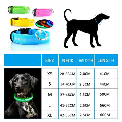 Collier Pour Chien Lumineux, Collier Anti-Perte Avec Lumière LED