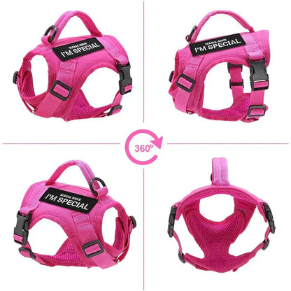 military harness for dogs and cats