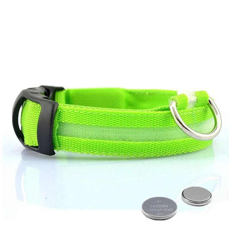 Collier Pour Chien Lumineux, Collier Anti-Perte Avec Lumière LED