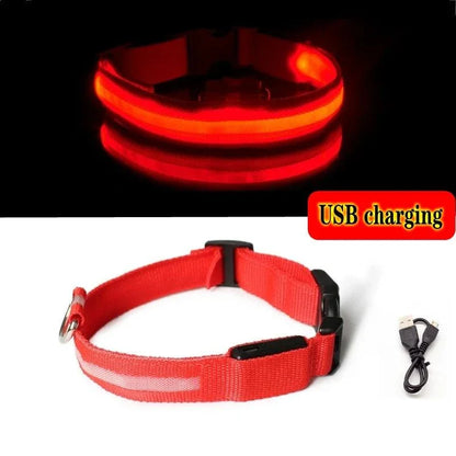 Collier Pour Chien Lumineux, Collier Anti-Perte Avec Lumière LED