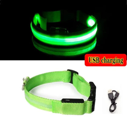 Collier Pour Chien Lumineux, Collier Anti-Perte Avec Lumière LED