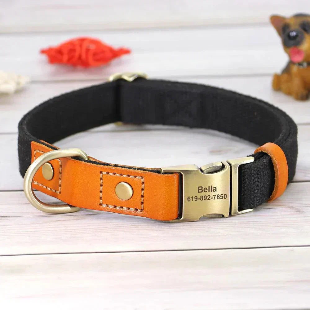 Collier en cuir pour chien personnalisé, set de collier et laisse avec plaque gravée