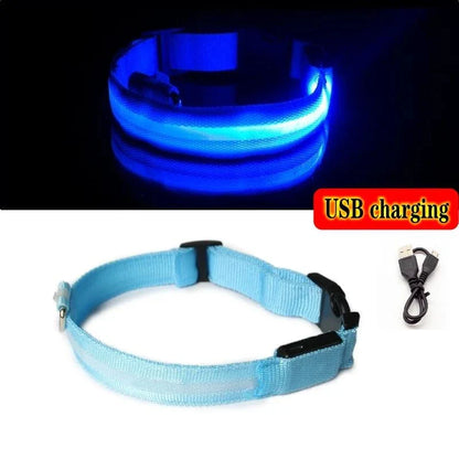 Collier Pour Chien Lumineux, Collier Anti-Perte Avec Lumière LED