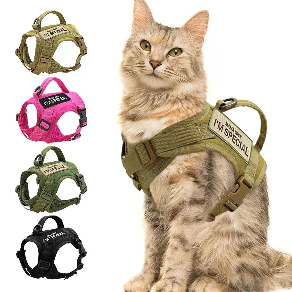 Harnais Militaire pour chiens et chats