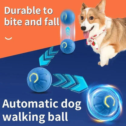 Automatic Bouncing Ball