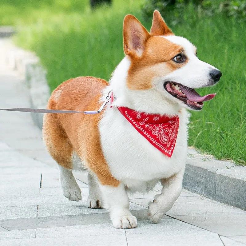 Bandana pour chat et chien, collier en triangle imprimé ethnique