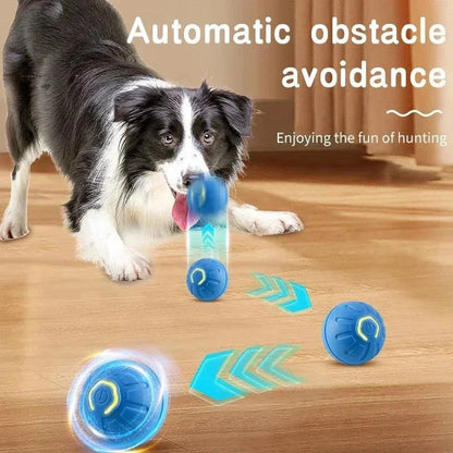 Automatic Bouncing Ball