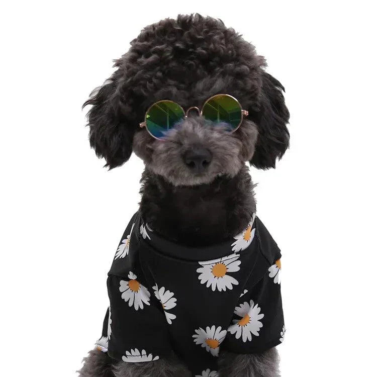 Vintage Retro Sunglasses for Small Dogs and Cats