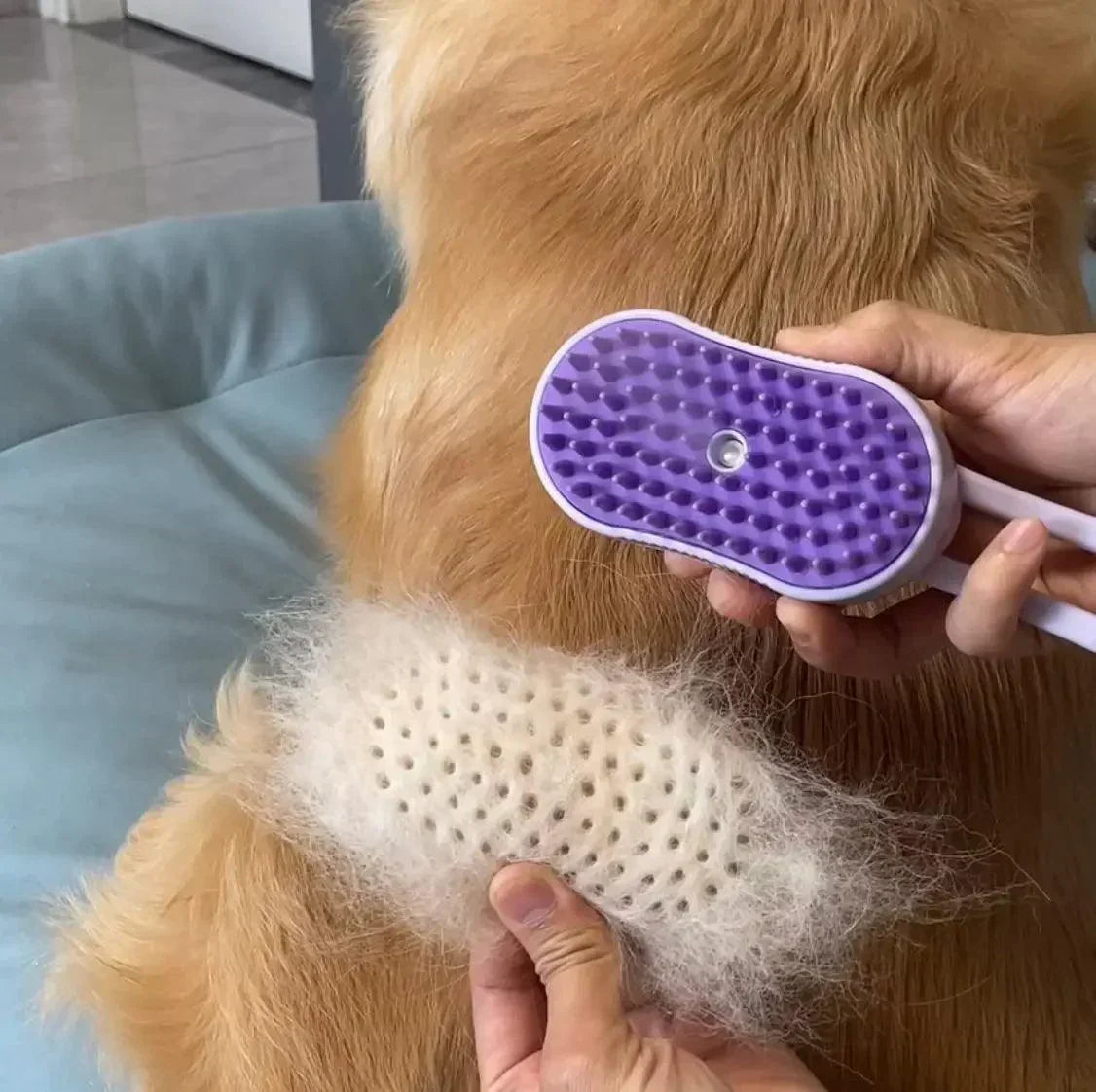 Brosse Vapeur Pour Chat et Chien, Brosse Electrique à Eau