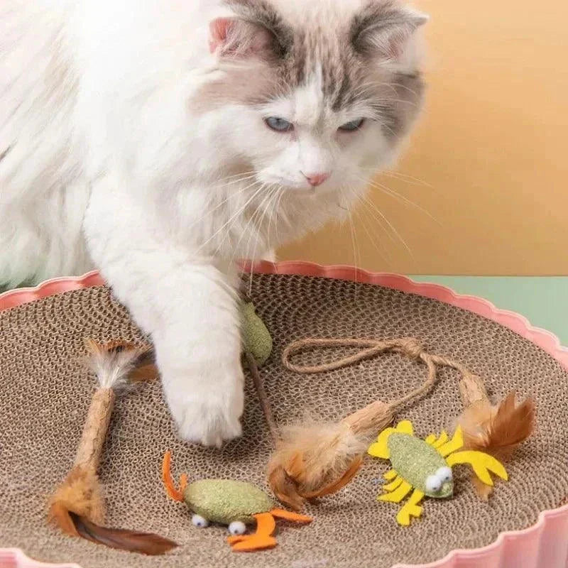 Jouets d'Herbe à Chat Séchée - Balle, Toupie, Souris, Sucette