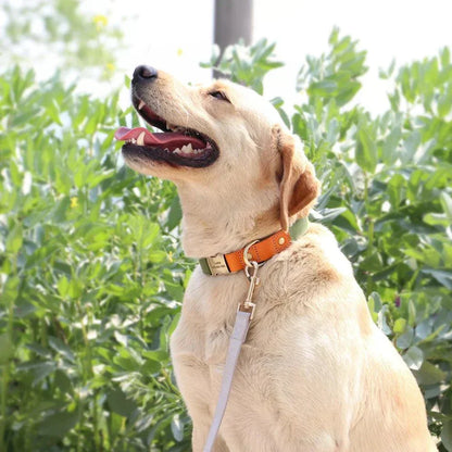 Collier en cuir pour chien personnalisé, set de collier et laisse avec plaque gravée